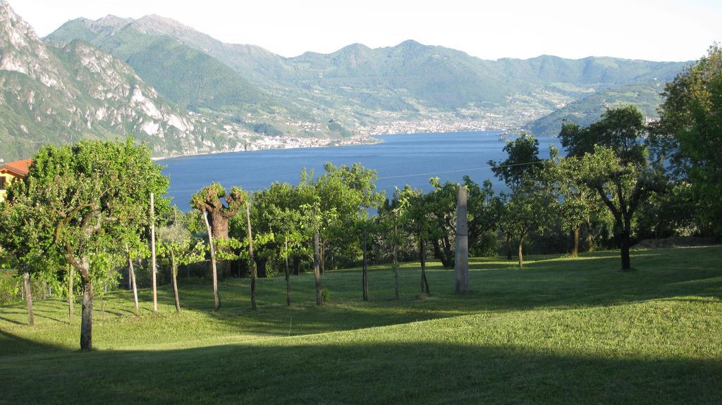 B&B Garden Solto Collina Exterior photo